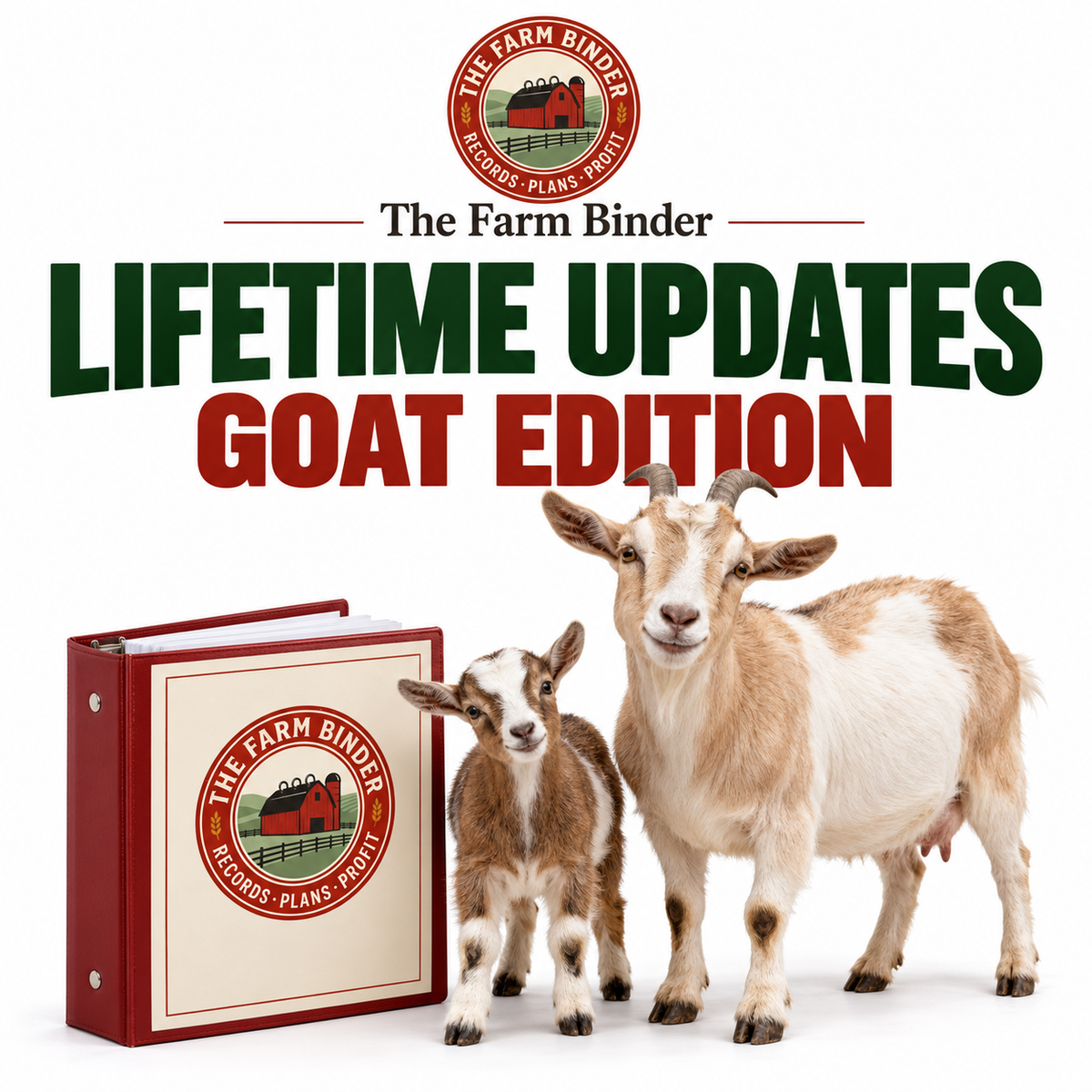 Lifetime Updates